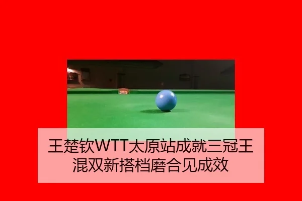 王楚钦WTT太原站成就三冠王 混双新搭档磨合见成效