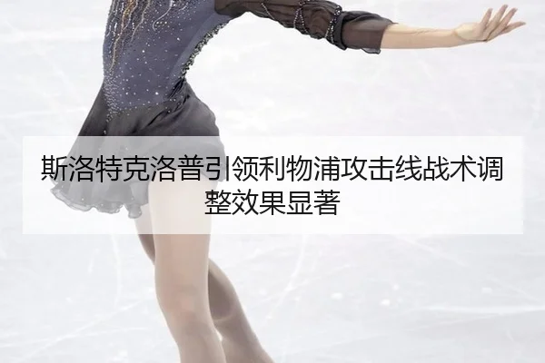 si-luo-te-ke-luo-pu-yin-ling-li-wu-pu-gong-ji-xian-zhan-shu-tiao-zheng-xiao-guo-xian-zhu-3-274.jpg