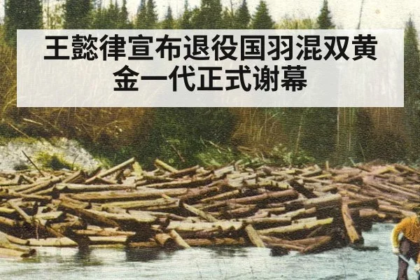 王懿律宣布退役国羽混双黄金一代正式谢幕